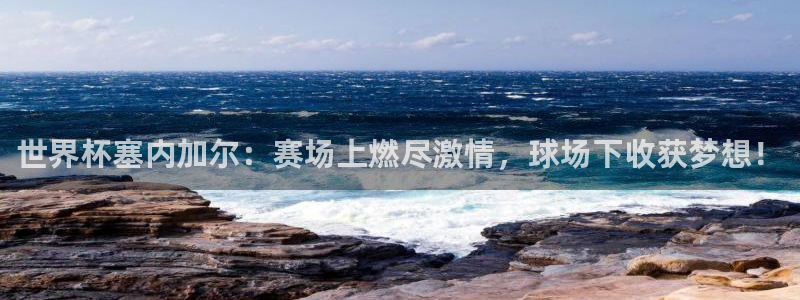 世界杯直播免费观看:世界杯塞内加尔:赛场上燃尽激情,球场下收获梦想!