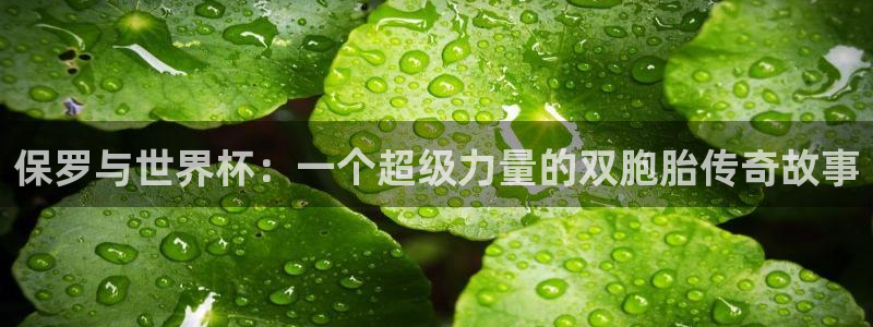 世界杯在线直播入口:保罗与世界杯:一个超级力量的双胞胎传奇故事