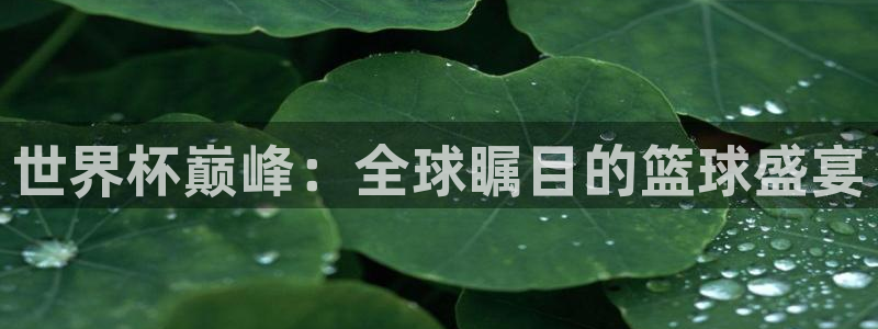 2026世界杯直播:世界杯巅峰:全球瞩目的篮球盛宴