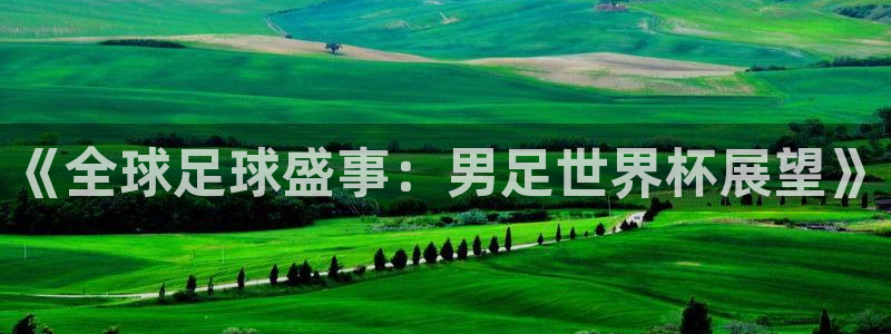 2026世界杯欧洲预选赛赛程表:《全球足球盛事:男足世界杯展望》