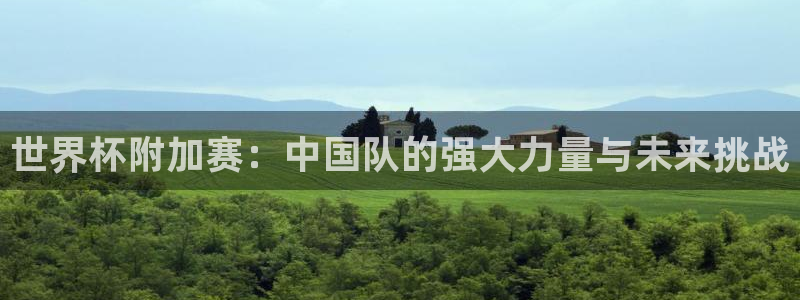 世界杯预选赛:世界杯附加赛:中国队的强大力量与未来挑战