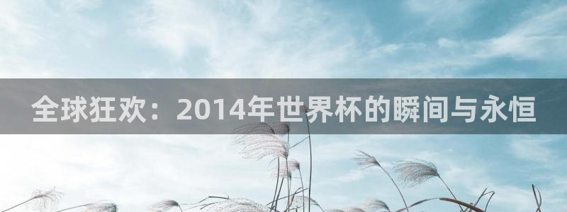 2026年世界杯赛程时间表格:全球狂欢:2014年世界杯的瞬间与永恒