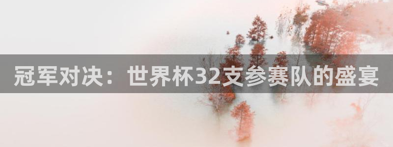 亚洲杯比赛直播:冠军对决:世界杯32支参赛队的盛宴