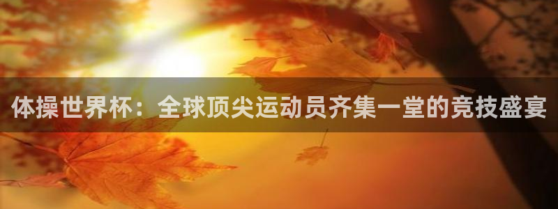 世界杯欧洲预选赛:体操世界杯:全球顶尖运动员齐集一堂的竞技盛宴